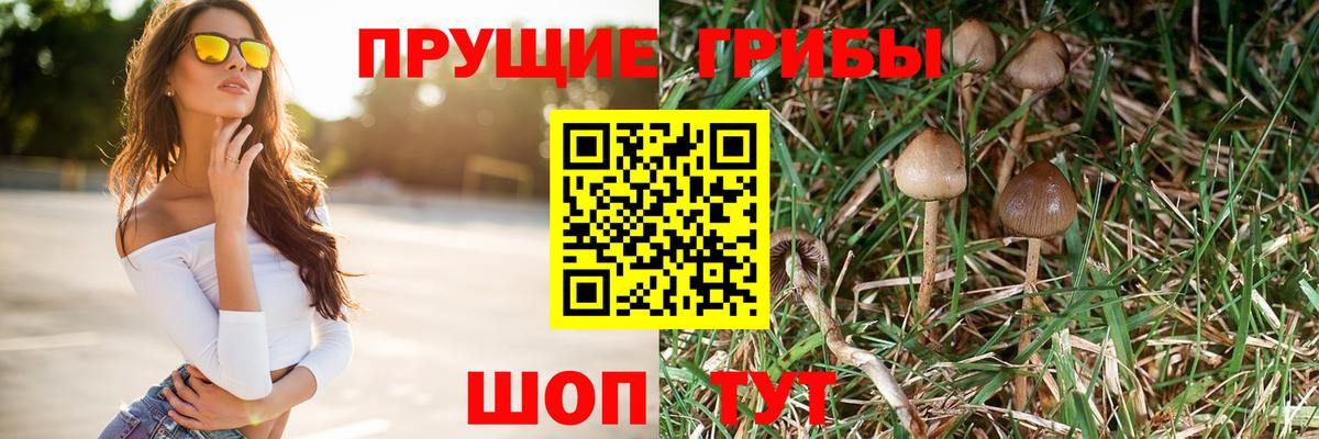 Псилоцибиновые грибы Cubensis  Псилоцибиновые грибы Cubensis  Вход с VPN  Улан-Удэ 